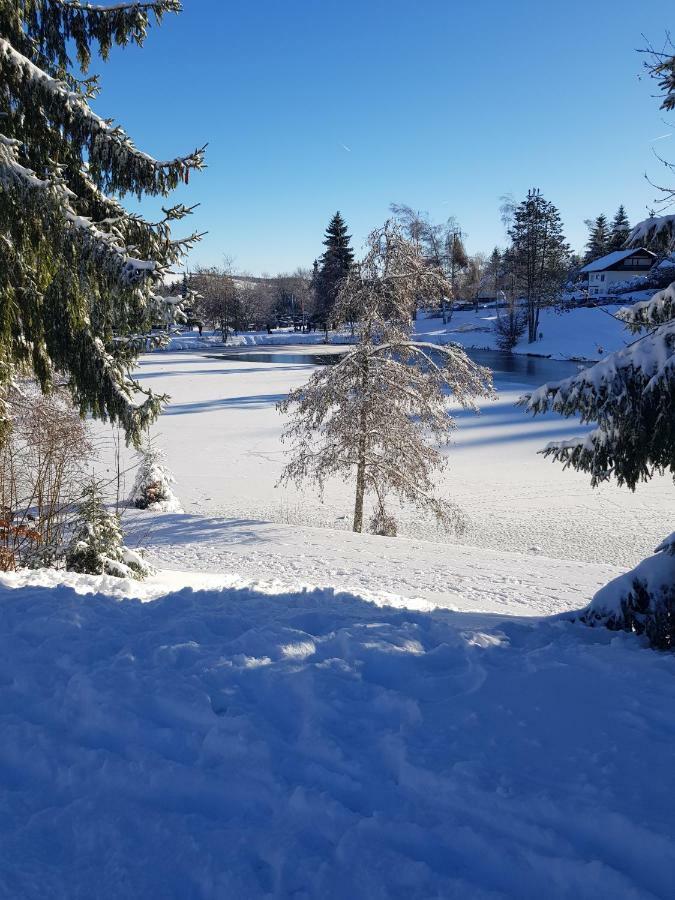 Jules Traum Im Schwarzwald Apartment Herrischried ภายนอก รูปภาพ