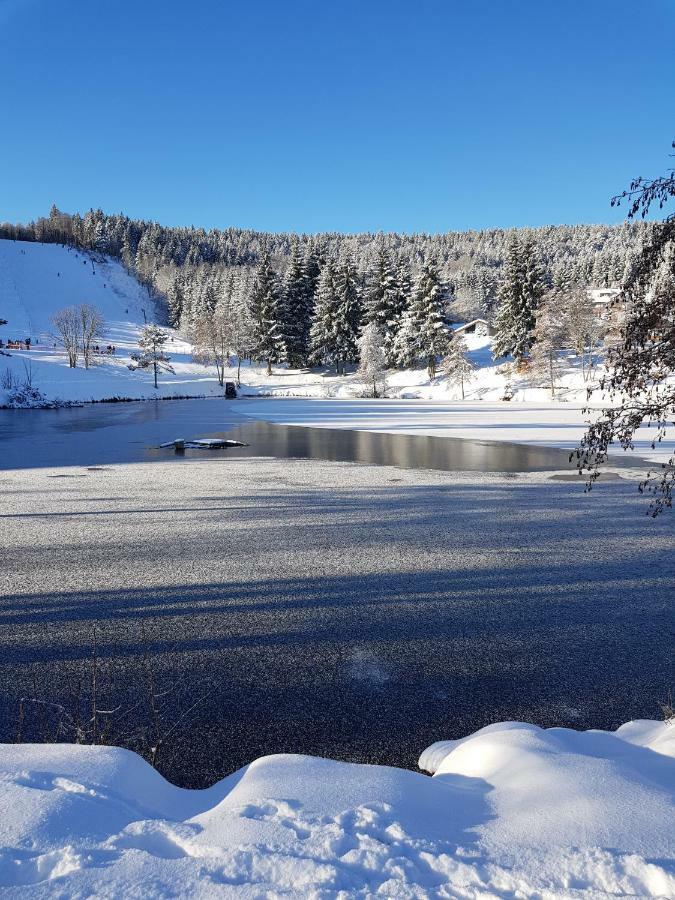 Jules Traum Im Schwarzwald Apartment Herrischried ภายนอก รูปภาพ