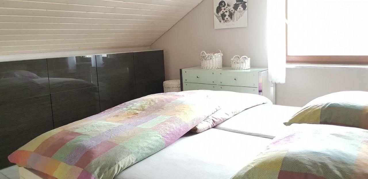Jules Traum Im Schwarzwald Apartment Herrischried ภายนอก รูปภาพ