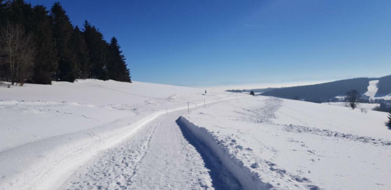Jules Traum Im Schwarzwald Apartment Herrischried ภายนอก รูปภาพ
