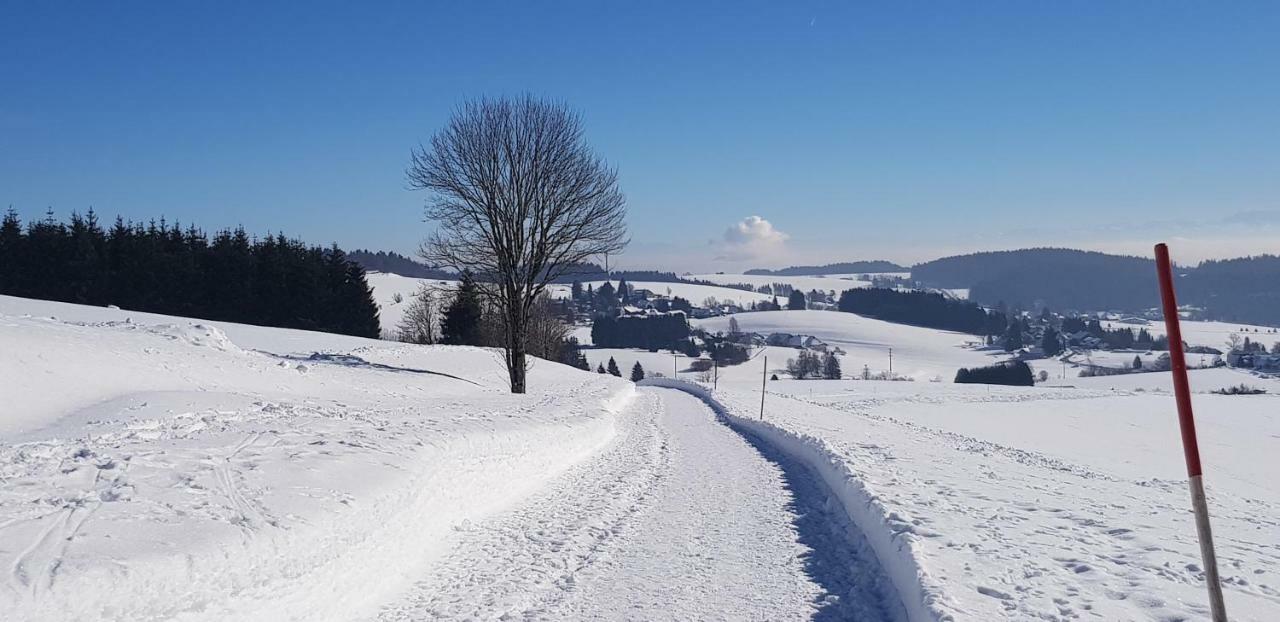 Jules Traum Im Schwarzwald Apartment Herrischried ภายนอก รูปภาพ